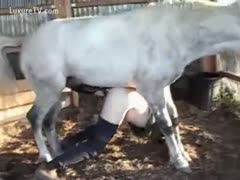 Horse Thrust his Huge Cock Inside Her Ass 